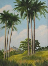Royal Palms, Cuba